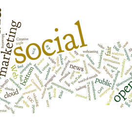 Social Media Consultant